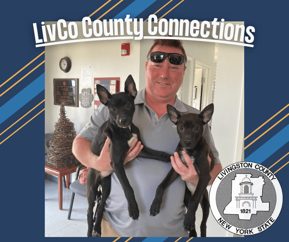 Copy of County Connections - Green